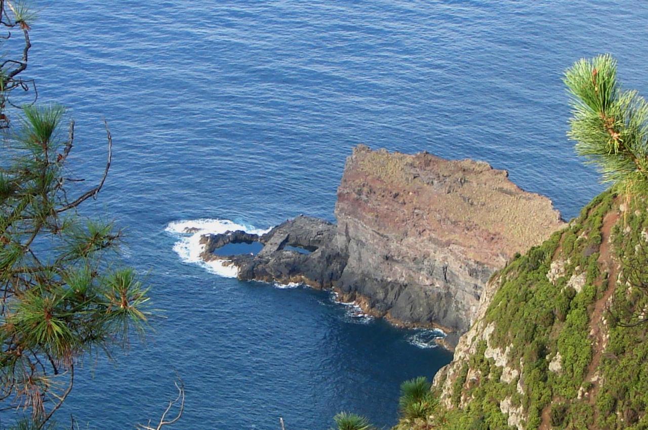 Casa Do Til Bed & Breakfast Santana  Bagian luar foto